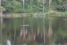 Danau Sibili Di Kota Palu, Pemandangan Indah, Surganya Para Pemancing