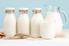 4 Bahaya Minum Susu Berlebihan, Waspada Penyakit Ini!