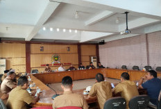 Dana Desa Dipangkas, Kades Kebingungan: Apdesi Hearing ke DPRD Bengkulu Selatan