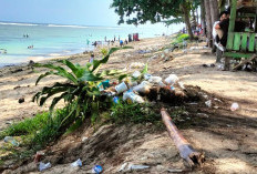 Sampah Menumpuk Di Pantai Laguna, Retribusi 10 Ribu Dipertanyakan