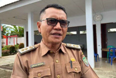 44,7 Hektar Lahan Pertanian di Seluma Rusak Akibat Banjir