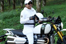 Koleksi Motor Mewah Dedi Mulyadi Jadi Sorotan, Triumph Scrambler 1200 XC, Harga Setara Fortuner