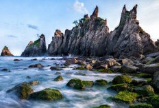 Pesona Pantai Gigi Hiu, Surga Tersembunyi di Lampung Terbentuk Dari Gugusan Karang Unik