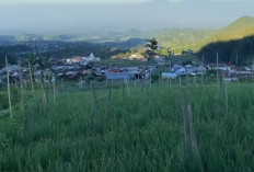 Desa Tercantik  Terbersih, Teratur di Lereng Gunung Lawu, Blumbang Karanganyar Layak Disebut Kepingan Syurga