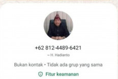 Waspada, Ada Nomor WhatsApp Sekda Seluma Palsu