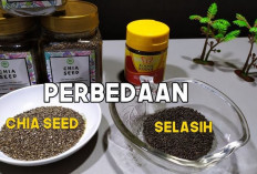 Serupa Tapi Tak Sama, Ini Fakta Menarik Chia Seed dan Biji Selasih