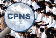 Jumlah CPNS Membludak, Kantor Kekurangan Meubeler, Terpaksa Duduk di Lantai