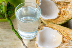 Manfaat Air Kelapa untuk Ibu Hamil, Dukung Pertumbuhan Janin
