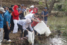 18 Ribu Bibit Ikan Nila Ditebar di Kolam Taman Panco Raden