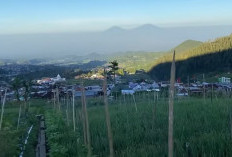 Desa Blumbang Tawarkan Keindahan dan Ketertiban yang Menakjubkan