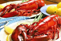 Kuliner Unik Dari Papua, Olahan Udang Selingkuh Yang Nikmat, Lobster Air Tawar Bercapit Besar