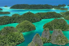 Keindahan Telaga Manta, Destinasi Wisata Menarik Di Raja Ampat, Airnya Unik Berwarna Hijau 