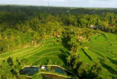 Desa Wisata Bonjeruk, Pesona Alam dan Budaya di Lombok Tengah