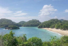 Pantai Gatra, Kepingan Surga di Malang, Berikut Lengkap Berwisata Ke Pantai Gatra