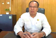 Alih Fungsi Sawah Jadi Perkebunan Sawit Harus Dihentikan Jika Tak Ingin Disanksi
