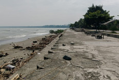 Memprihatinkan, Pantai Pasar Bawah Dipenuhi Sampah Batang Pohon Hingga Batok Kelapa