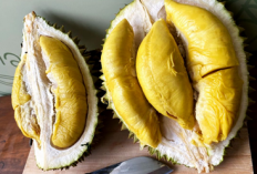 Petani Wajib Tahu, Ini 7 Jenis-Jenis Durian Unggul Cepat Berbuah