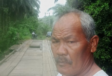 Alasan Jembatan Penghubung Cinto Mandi Berlobang Memperihatinkan Butuh Perbaikan Dukungan Pemerintah Provinsi