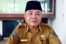 Petugas PLKB di Bengkulu Selatan Diingatkan Proaktif Pembinaan Program