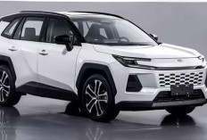 Pasar SUV Makin Panas! Toyota Wildlander Siap Jegal Mitsubishi Destinator