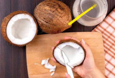 Ini Cara Membuat dan Manfaat Susu Kelapa Bagi Kesehatan