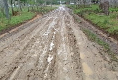 Warga Taba Lubuk Puding Kabupaten Seluma Keluhkan Jalan Becek dan Licin, Bukan Jalan Buruk, Ini Penyebabnya
