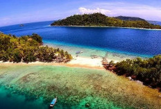 Pesona dan Keindahan Pulau Pematusan, Surga Tersembunyi di Sumatera Barat