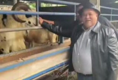 Jalin Kerja Sama Sektor Strategis, Ajak Investor ke Bengkulu Selatan
