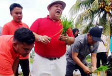 Bupati Ingin Bengkulu Selatan Kembali jadi Lumbung Beras