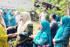 Lakukan Pendampingan Home Visit Pada Pasien ODGJ di Bengkulu Selatan