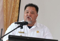 Bupati: Potensi Pertanian Bengkulu Selatan Bisa Dijual Skala Internasional