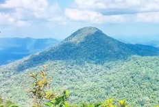 6 Fakta Menarik Gunung Tajam, Atap Tertinggi Pulau Belitung