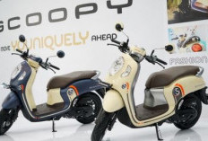 Honda Perkenalkan Scoopy 150, Skutik Terbaru Honda yang Siap Mengaspal di Indonesia