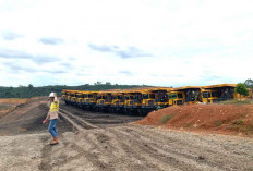 Penerimaan Pajak Alat Berat di Provinsi Bengkulu Capai Rp1,5 Miliar