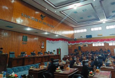 DPRD Kaur Dukung Penuh RPJMD