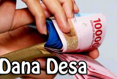 Ada Apa Ya? 2 Desa Di Seluma Belum Juga Usulkan Pencairan DD