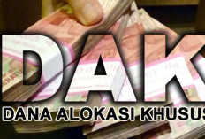 Masih Banyak Belum Dipahami, Berikut Poin Penting Agar Dapat DAK