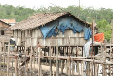 Kaya Sumber Alam, 7 Provinsi di Indonesia Ini Paling Miskin, Mau Makan Saja Susah