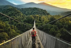 Jembatan Gantung Situ Gunung di Jawa Barat, Destinasi Wisata Favorit dengan Anggaran Rp3 Miliar