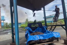 PT SBS Ajak Masyarakat Manfaatkan Solid Untuk Pakan Ternak dan Pupuk Tanaman