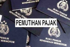 Pemutihan Pajak 2025 Tunggu Juknis