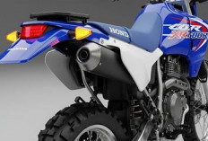 Honda XR600R 2026, Legenda Gurun Kembali dengan Tenaga Baru dan Teknologi Modern