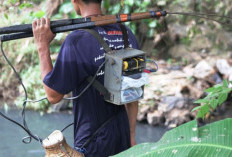 Nekat Nyetrum dan Meracun Ikan Di Sungai, Siap-siap Dipenjara 10 Tahun