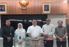 Bupati Bengkulu Selatan Temui Direktur Wasdal BKN