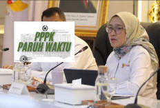 Perkiraan Gaji dan Tunjangan yang Diterima PPPK Paruh Waktu Setelah Mendapatkan NIP