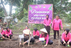 Polres Kaur Dukung Ketahanan Pangan dengan Tanam Bibit Uwi Ungu