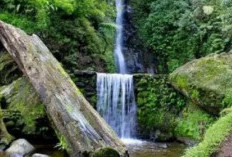 Keindahan Air Terjun Karang Ijo: Lokasi, Jam Buka dan Harga Tiket