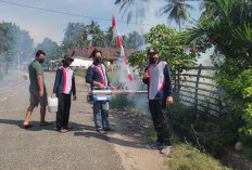 Serangan DBD di Kaur Makin Mengganas, Jumlah Pasien Terus Bertambah