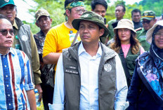 Ribuan Hektare Direstorasi, Koridor Gajah Diperkuat