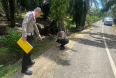 Kecelakaan Saat Mencari Rumput, Warga Lawang Agung Meninggal 